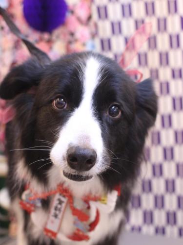 20250105ウィルくん